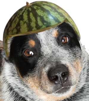 doubledog.png
